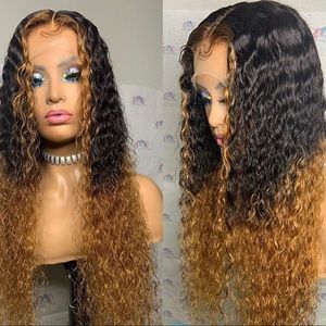 Full lace 2 tone colored wig